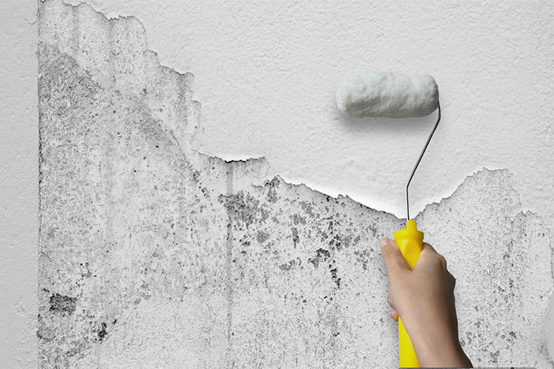 外壁ダメージ